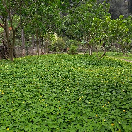 Yen Binh Homestay Ninh Binh Buitenkant foto