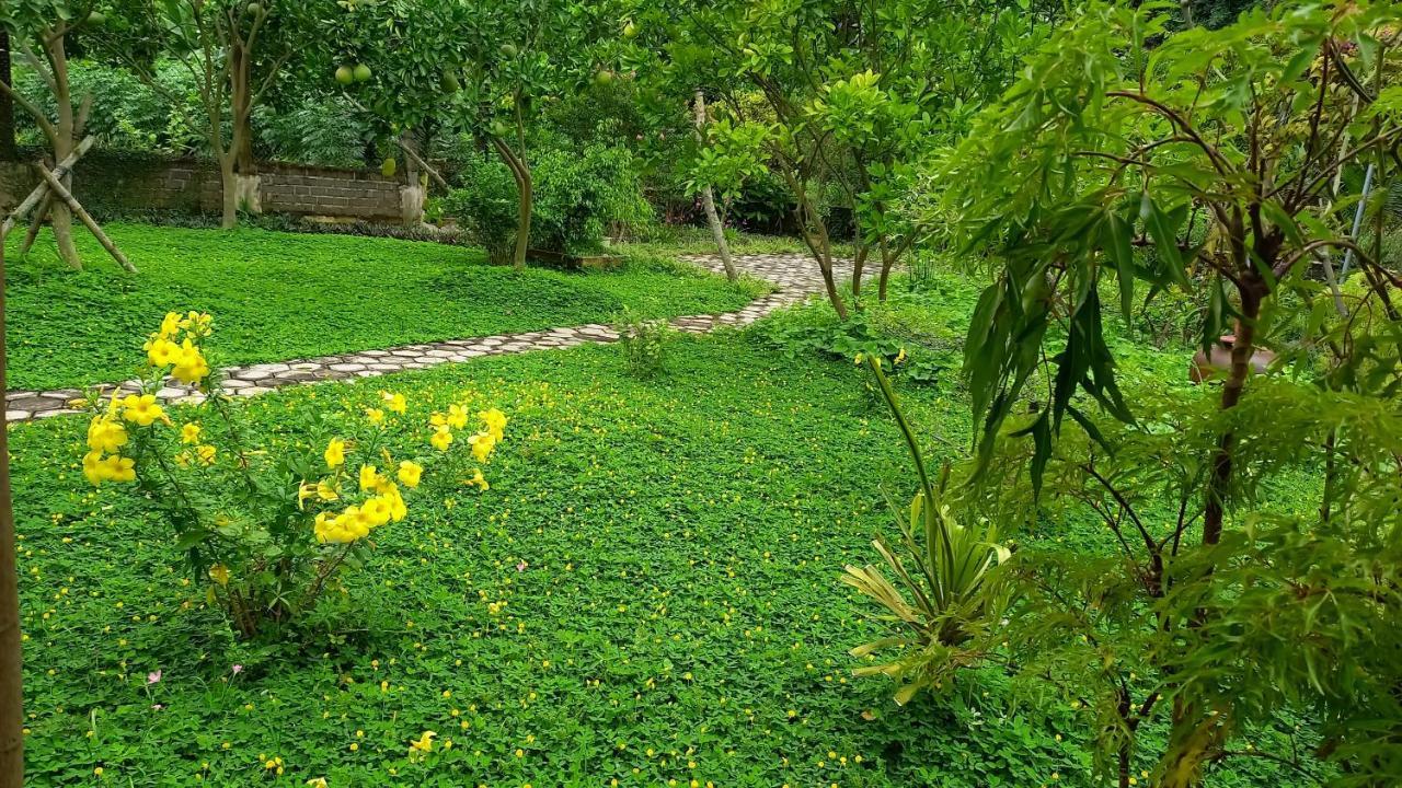 Yen Binh Homestay Ninh Binh Buitenkant foto