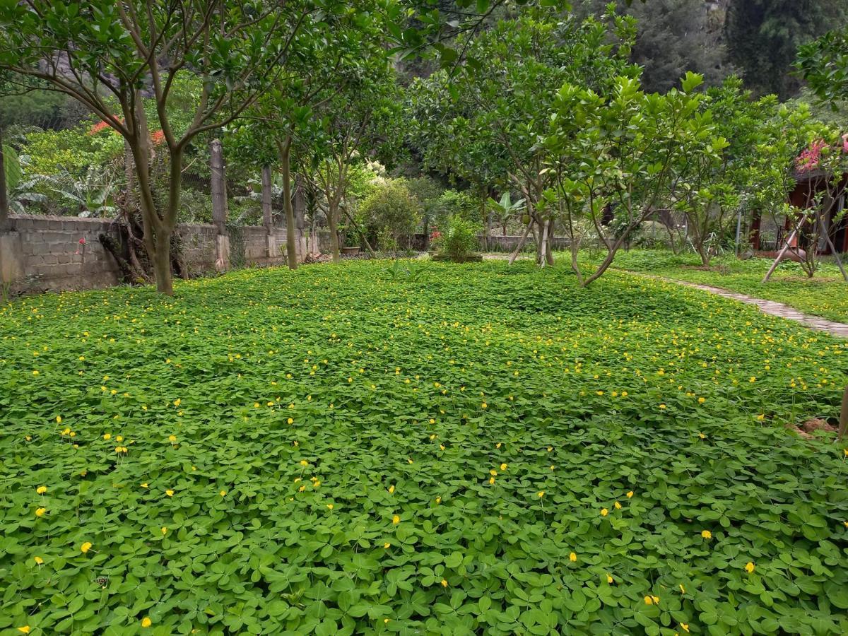 Yen Binh Homestay Ninh Binh Buitenkant foto